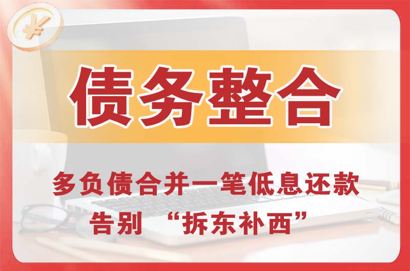 广水债务整合