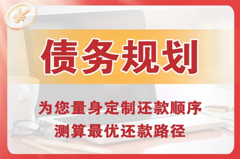 广水债务规划